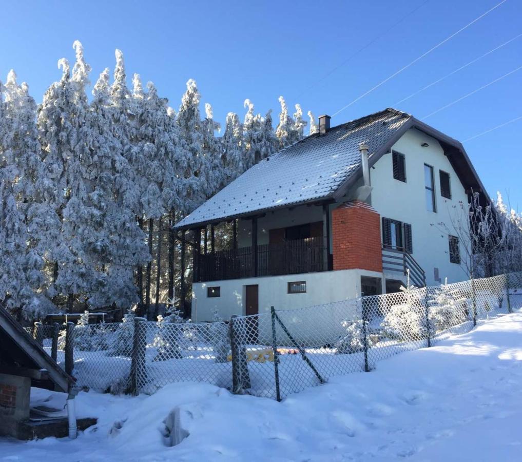 Vila Hajdi Planina Tara Bajina Basta Eksteriør bilde