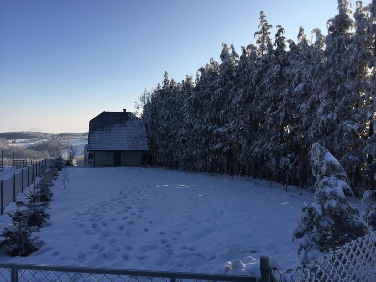 Vila Hajdi Planina Tara Bajina Basta Eksteriør bilde