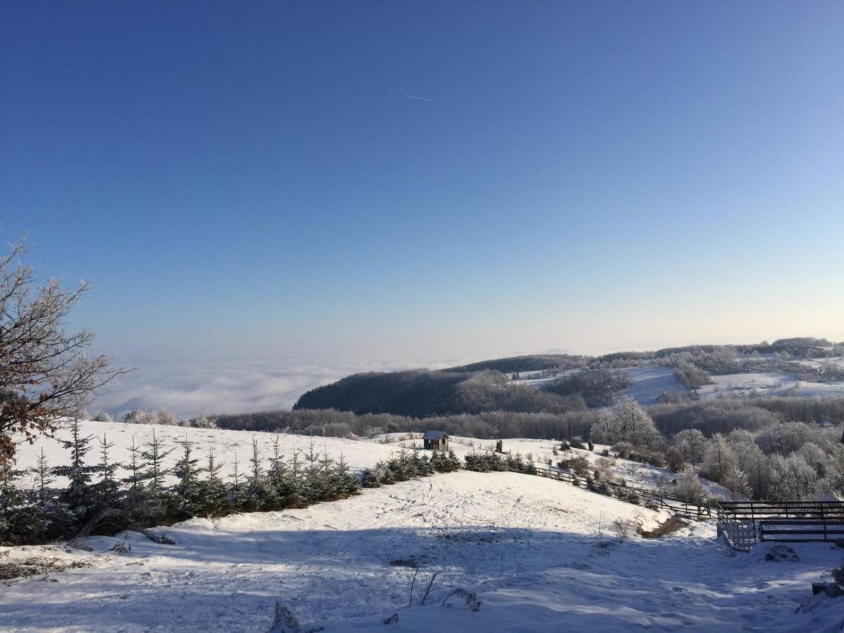Vila Hajdi Planina Tara Bajina Basta Eksteriør bilde